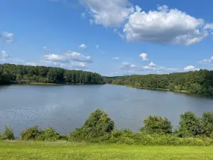 Shelley Lake Park