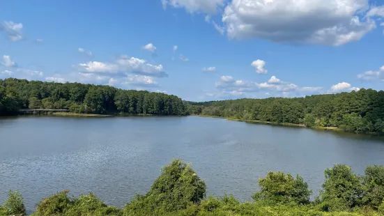 Shelley Lake Park