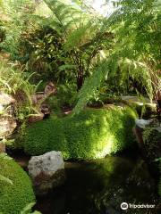 Ascog Hall Gardens and Victorian Fernery