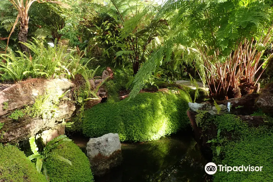 Ascog Hall Gardens and Victorian Fernery