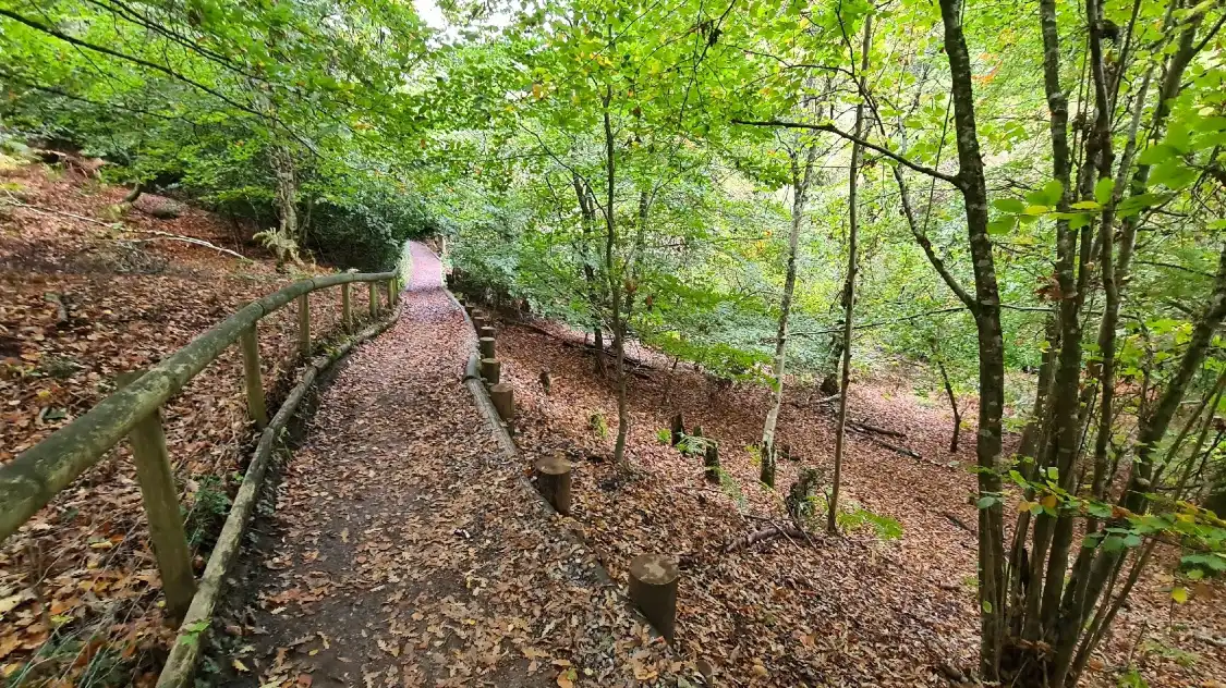 Hotel dekat Monkey World