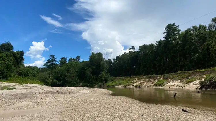 Hotels in Forrest County