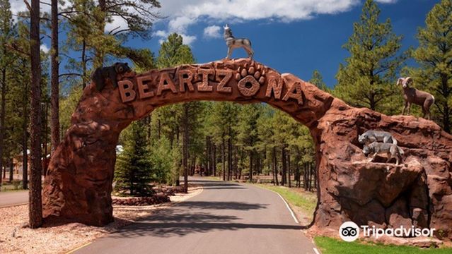 Bearizona Wildlife Park