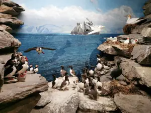 The Skellig Experience Visitor Centre