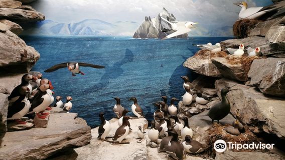 The Skellig Experience Visitor Centre