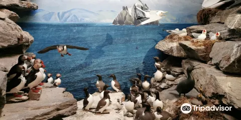 The Skellig Experience