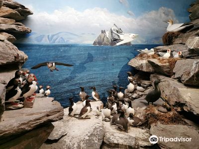 The Skellig Experience Visitor Centre