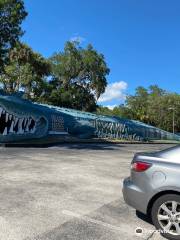 Jungle Adventures, A Real Florida Animal Park