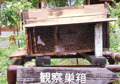 Mitsubachi Nouen (Yamada Honeybee Farm)