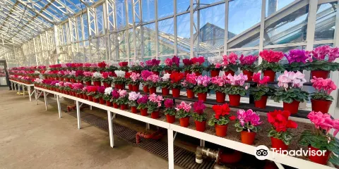 Duthie Park Winter Gardens