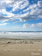 Tajpur Beach