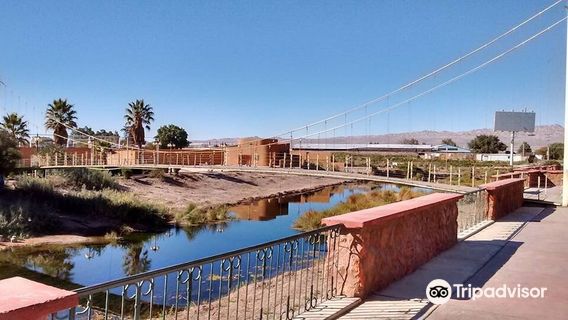 Calama