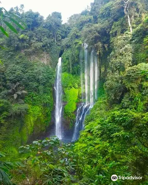 Bali Trekking Trails