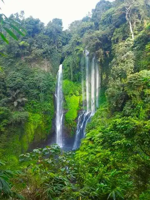 Bali Trekking Trails 주변 호텔