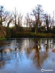 Lostwithiel Bridge