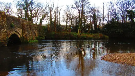 Lostwithiel Bridge