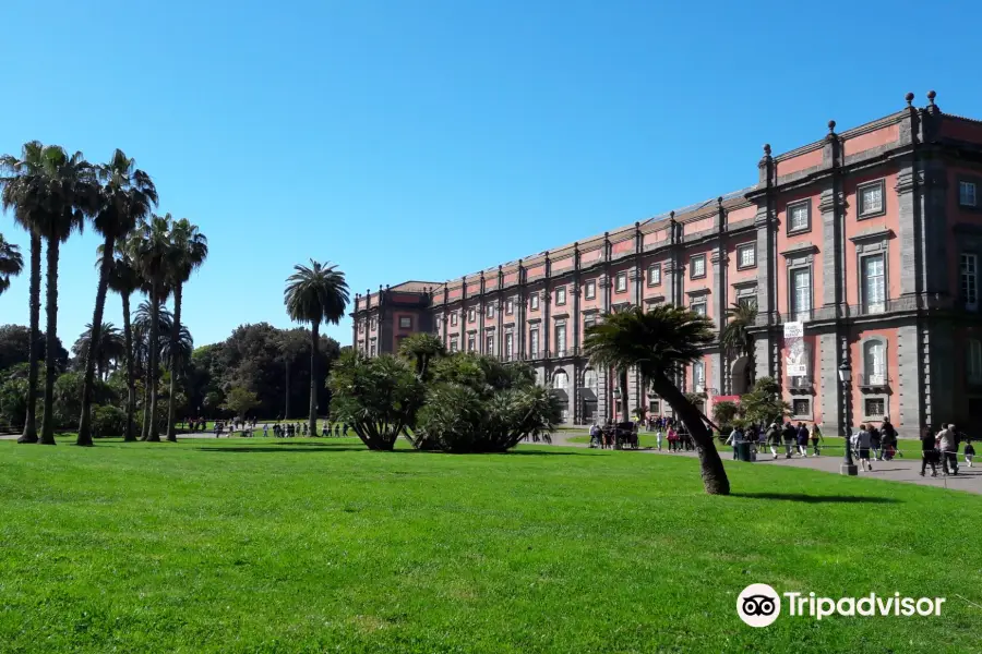 Museo e Real Bosco di Capodimonte