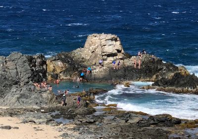 Natural Pool