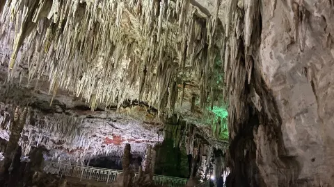 Ain Fezza travel destination