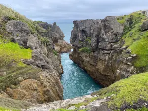 Paparoa National Park Visitor Centre