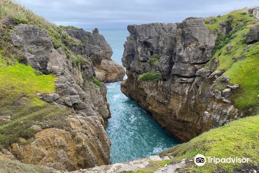 Paparoa National Park Visitor Centre