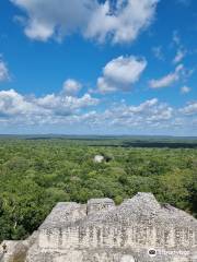 Visit Calakmul