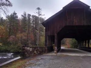 DuPont State Recreational Forest