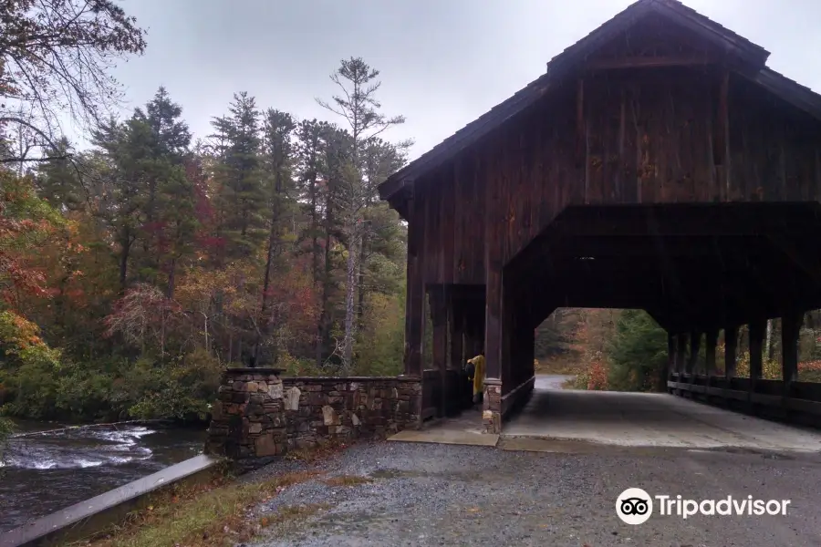 DuPont State Recreational Forest