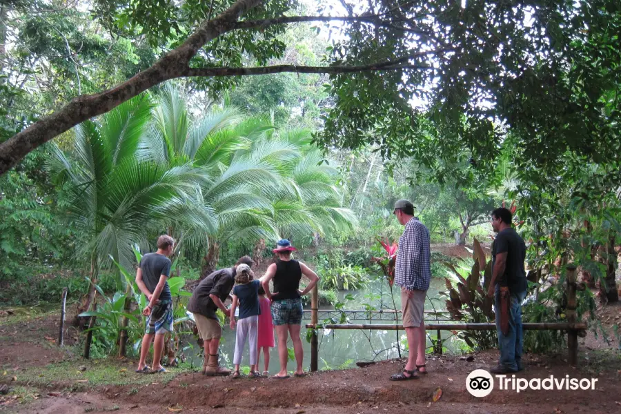 Rancho Raices de Puerto Jimenez