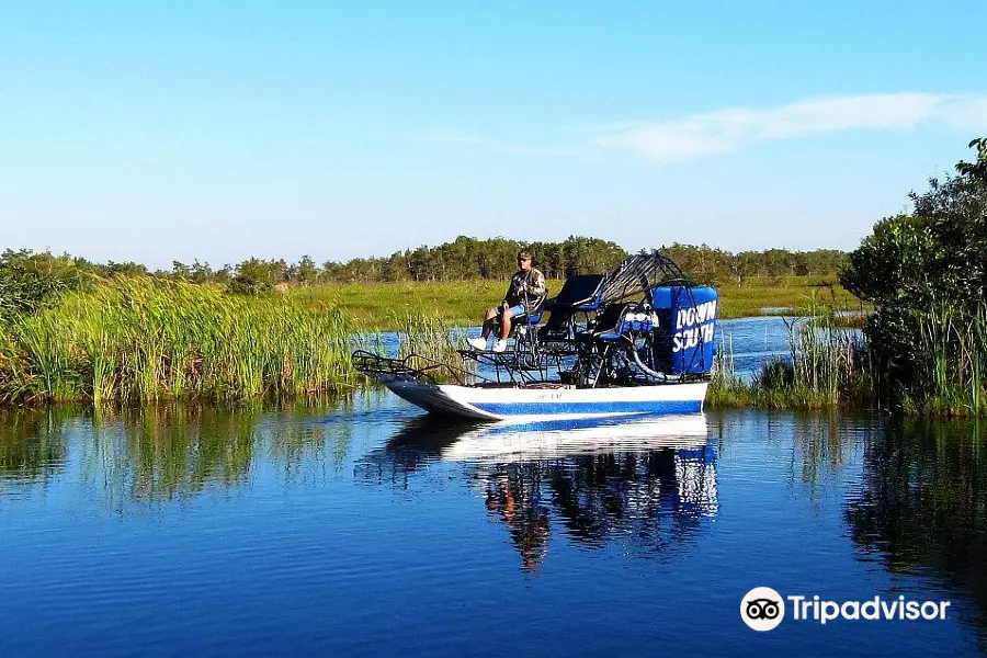 Down South Airboat tours