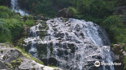 Horses Waterfall