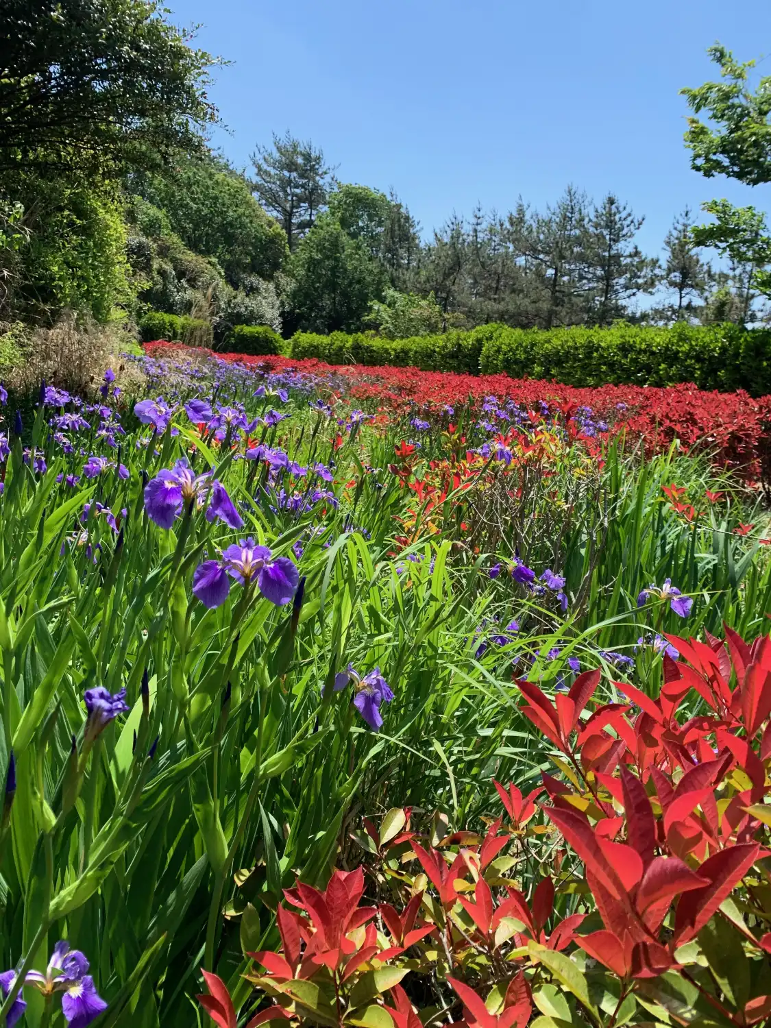 Hotels near Seomi Garden