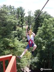 Wilderness Canyon Zip Line