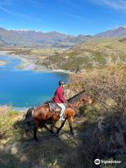 Wanaka Horse Trekking