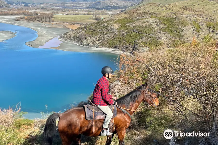 Wanaka Horse Trekking