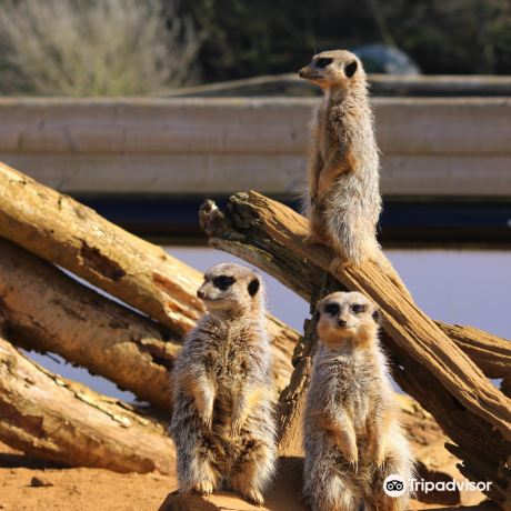 Jimmy's Farm & Wildlife Park