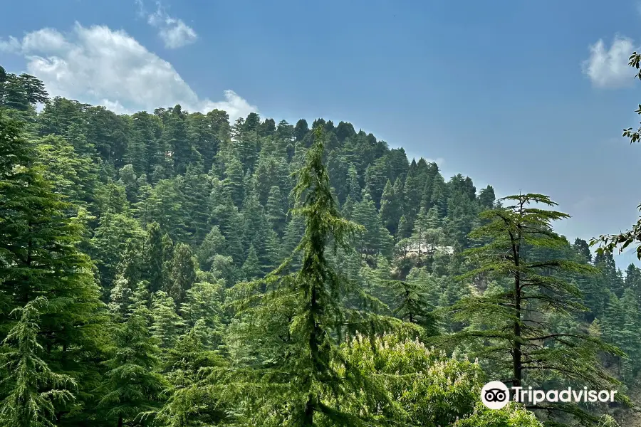 Lal Tibba Scenic Point