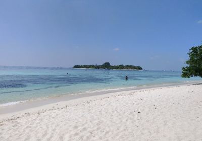 Atoll Rasdu