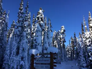 Kimberley Alpine Resort