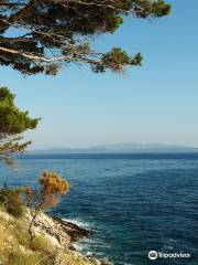 Plage de Nugal