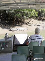 Whitsunday Crocodile Safari