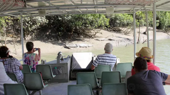 Whitsunday Crocodile Safari