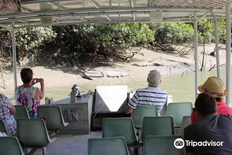 Whitsunday Crocodile Safari