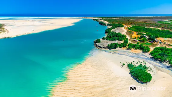 Willie Creek Pearl Farm