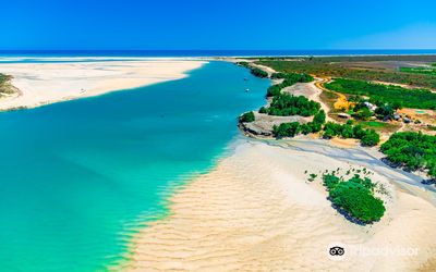 Willie Creek Pearl Farm