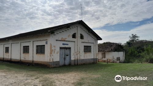 Floresta Nacional de Ipanema