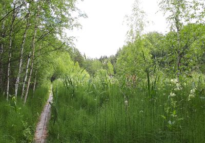 Lake Vallonjarvi - Guided nature path