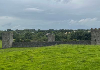 Hore Abbey