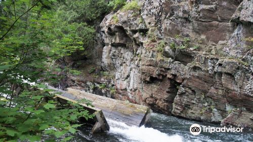 Hawk Lake Log Chute