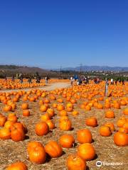 Underwood Family Farms